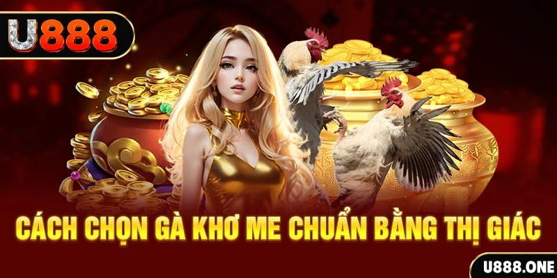 Cách chọn gà Khơ me chuẩn bằng thị giác