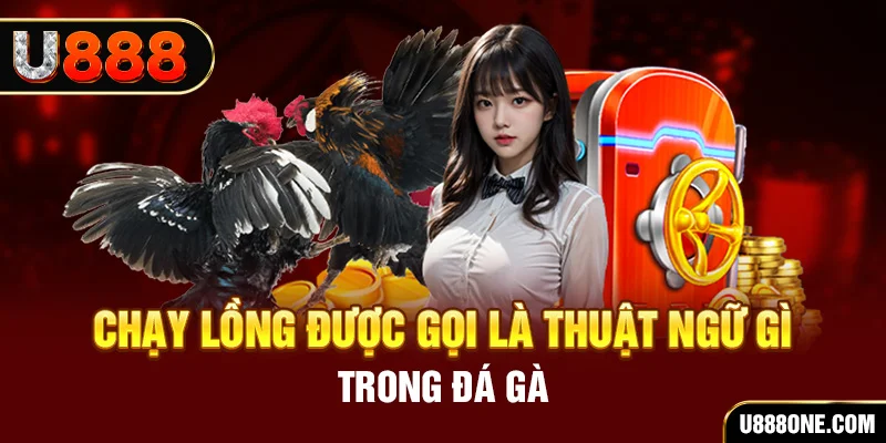 Chạy lồng được gọi là thuật ngữ gì trong đá gà