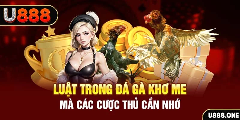 Luật trong đá gà Khơ me mà các cược thủ cần nhớ