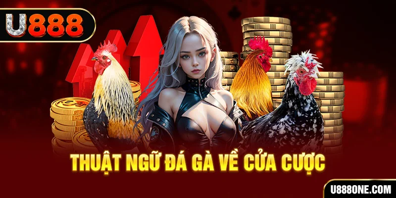 Thuật ngữ đá gà về cửa cược